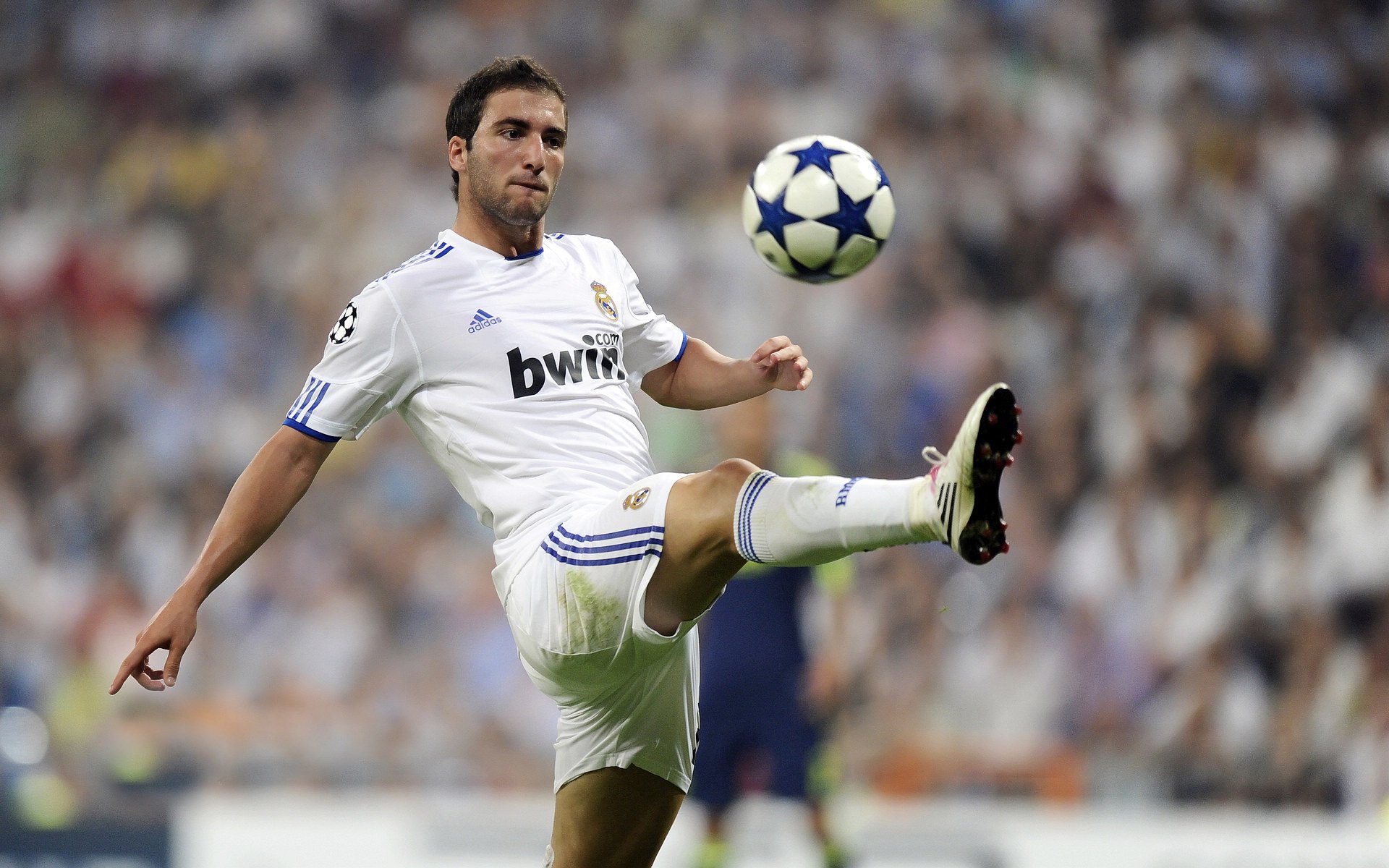 开云体育官网登入-《Apex Legends》线上线下联动赛事，玩家热情高涨，apex英雄联赛